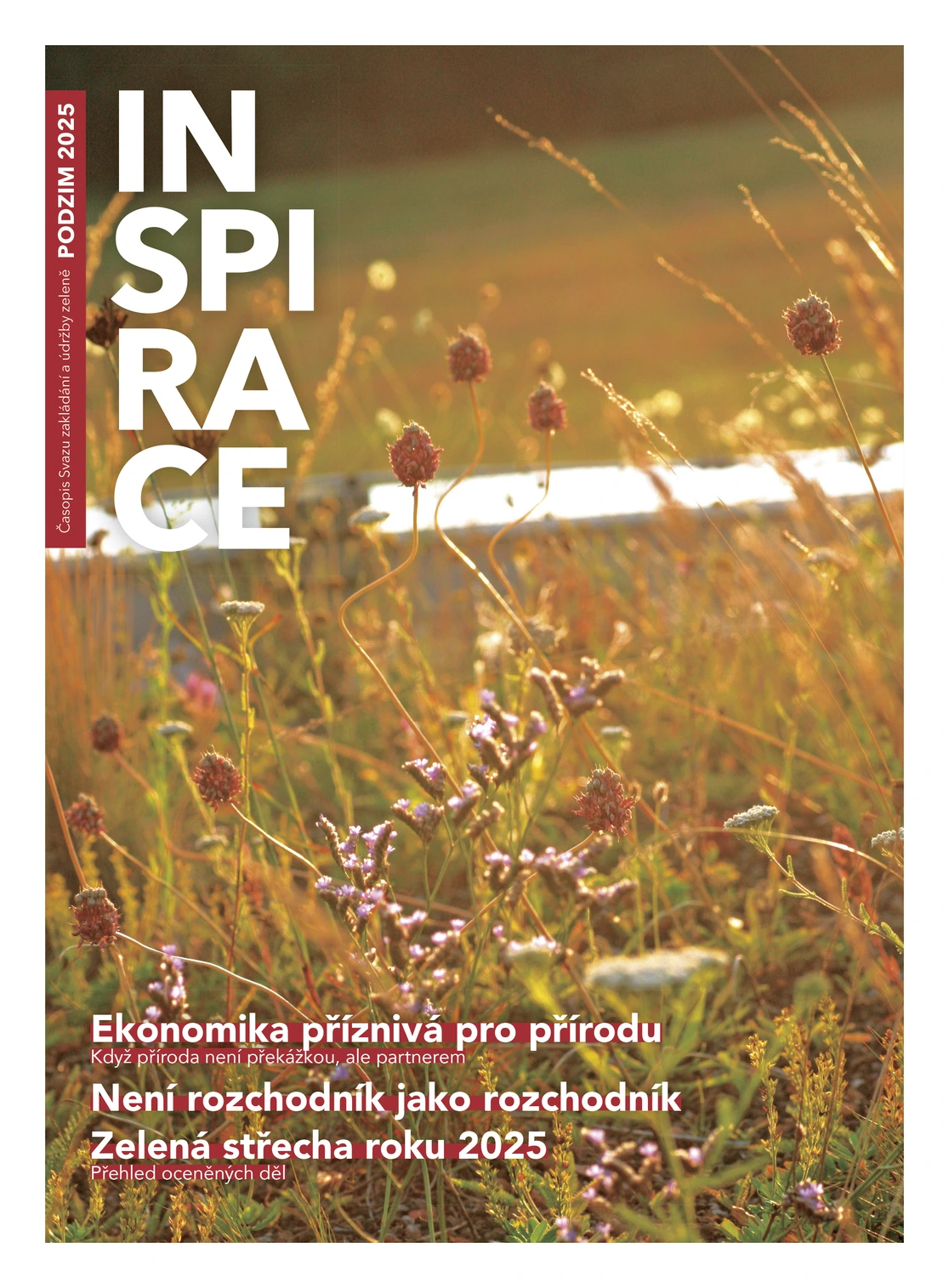 Nature Positive Economy: Když příroda není překážkou, ale partnerem thumbnail